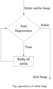 While R Philit Chapter 3 Conditionals and Loops | Intermediate R Workshop Notes