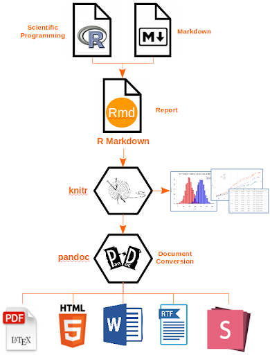Chapter 6 Advanced Rmarkdown | Intermediate R Workshop Notes
